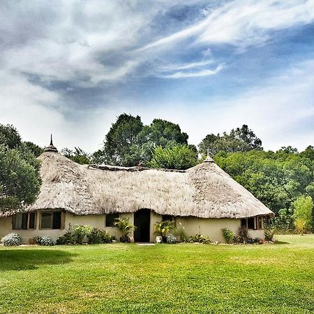 House In The Wild Guest House Maasai Mara Eksteriør bilde