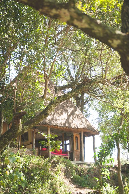 House In The Wild Guest House Maasai Mara Rom bilde